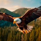 Eagle Wallpapers-icoon