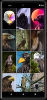 Eagle Wallpapers screenshot 3
