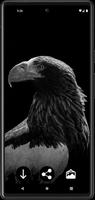 Eagle Wallpapers screenshot 2