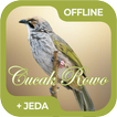 Masteran Burung Cucak Rowo Off