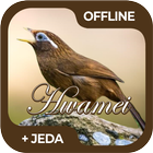 Masteran Burung Hwamei / Wambi иконка