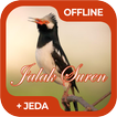 Masteran Burung Jalak Suren Offline