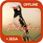 Masteran Burung Jalak Suren ícone