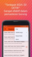 Masteran Burung Jalak Suren imagem de tela 3