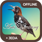 Masteran Burung Anis Kembang ícone