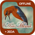 Masteran Burung Anis Merah أيقونة
