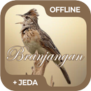 Masteran Burung Branjangan Offline APK