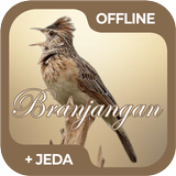 Masteran Burung Branjangan أيقونة