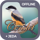 Masteran Burung Cendet Offline ícone
