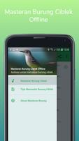 Masteran Burung Ciblek Offline capture d'écran 1