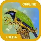 Masteran Burung Cucak Cungkok ícone