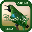 Masteran Burung Cucak Ijo Offl