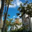 Hawaii News