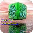 Himpunan Hadith Qudsi APK