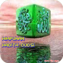 Himpunan Hadith Qudsi aplikacja
