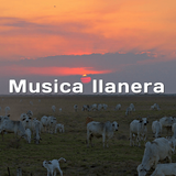ikon Musica llanera