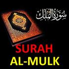 surah mulk audio offline icône