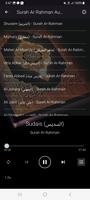 Offline Surah Ar Rahman Audio ảnh chụp màn hình 1