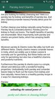 Kidney Cleanse Juice screenshot 1