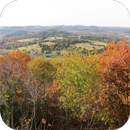 Arkansas Local News APK