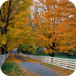 New Hampshire Local News