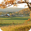 Ohio Local News APK