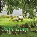 Celtic Harp Instrumental music APK