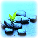 The Doctrine of Love