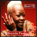 Best Of Brenda Fassie APK