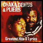 Best Of Chaka Demus & Pliers biểu tượng