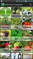 Edible Plant Propagation plakat