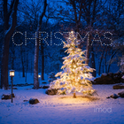 Christmas Wallpapers Christmas أيقونة