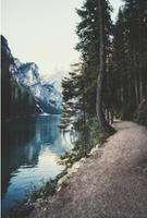 Hірѕtеr Wаllрареr Backgrounds Ekran Görüntüsü 3