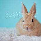 Easter Wallpapers icono