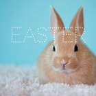 Easter Wallpapers icon