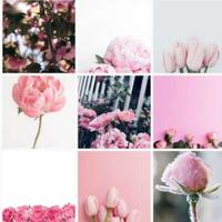 Pink Wallpapers imagem de tela 2