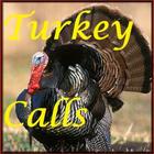 Turkey Calls HD-icoon