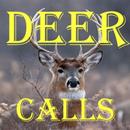 Deer Calls HD APK
