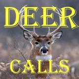 Deer Calls HD أيقونة