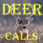 Deer Calls HD biểu tượng