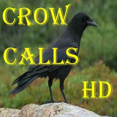 Crow Calls HD アプリダウンロード