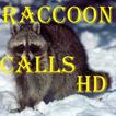 Raccoon Calls HD