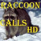 Raccoon Calls HD icon