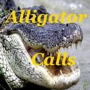 Alligator Calls HD APK