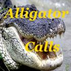 Alligator Calls HD иконка