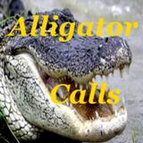Alligator Calls HD иконка