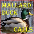 Mallard Duck Calls Zeichen