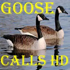 Goose Calls HD APK Herunterladen