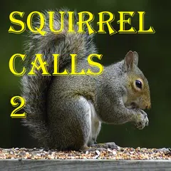 Squirrel Calls 2 アプリダウンロード