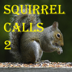 Squirrel Calls 2 icon